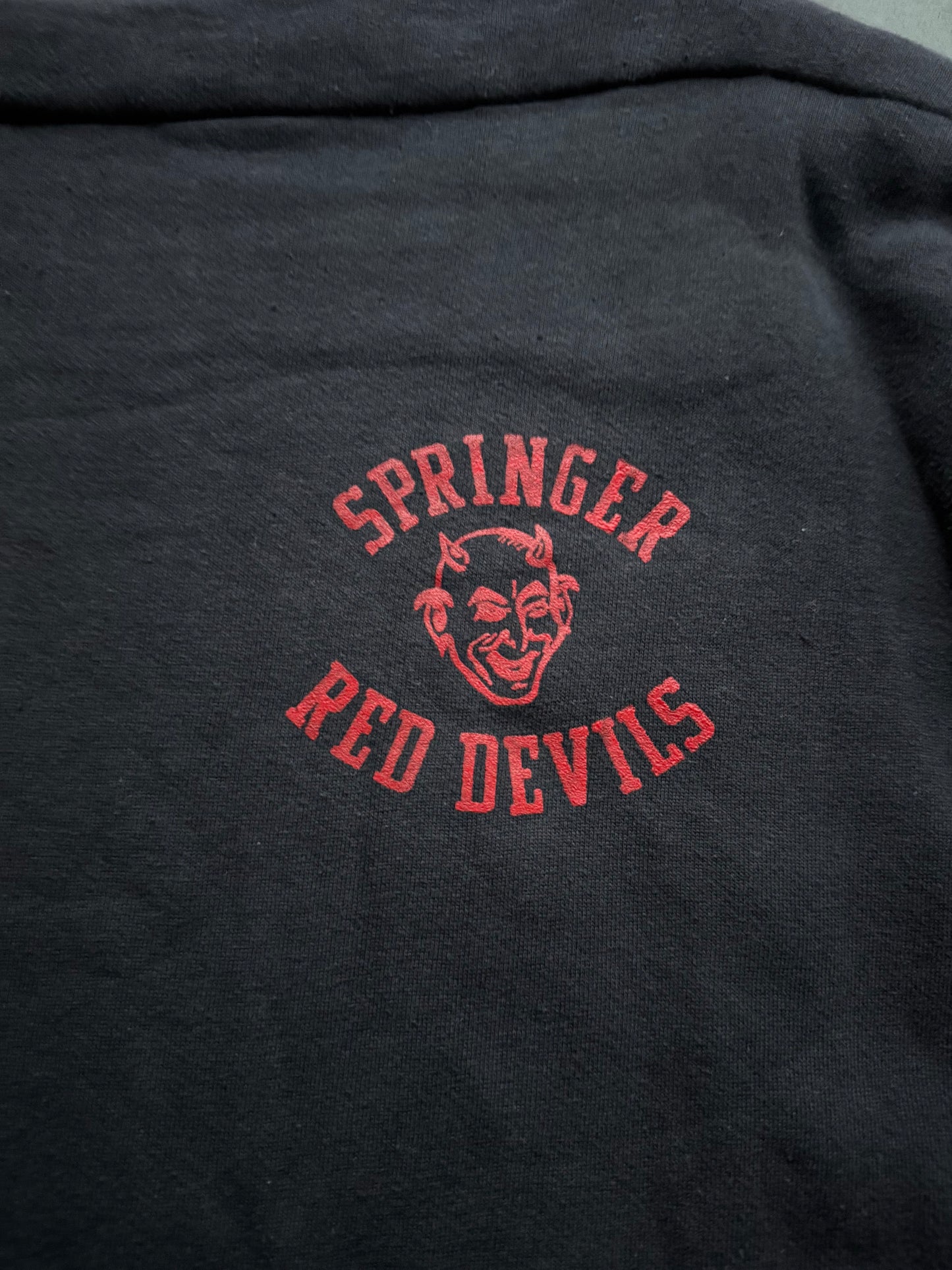 1950s Cotton Champion Devil Sweatshirt